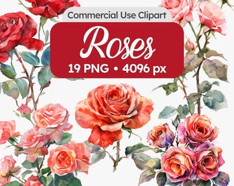 Watercolor Roses Clipart – Romantic Floral Illustrations for Wedding, Invitations and Decor
