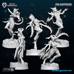 May include: A collection of five white, pre-supported fantasy miniatures. Each figure is a detailed female warrior with elaborate armor, flowing hair, and weapons. The figures are on textured bases, with the Den of Imagination logo visible.