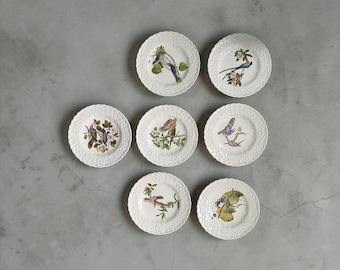 Vintage Alfred Meakin Audubon Birds of America Plate Collection Made in England Decorative Bird Plate