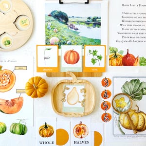 Pumpkin Unit Study, Fall Unit Study, Homeschool Pumpkin Study, Fall Morning Basket