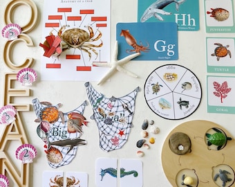 Ensemble d'études sur l'unité océanique, Animaux marins, Étude de plage, Vie marine, Documents à imprimer pour l'école à la maison, Études scientifiques pour la maternelle, Études scientifiques en première année