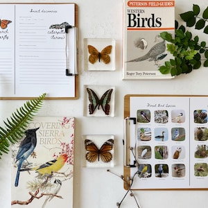 Nature Journal Study (Forest Edition), Nature Journal Activities, Homeschool Nature Study