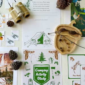 May include: A collection of camping-themed educational materials, including a tent anatomy diagram, a camping activity study chart, alphabet flashcards, and a wooden acorn-shaped tray with natural elements. The text on the chart reads "Camping Activity Study".