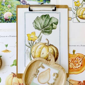 Pumpkin Anatomy Felt Set - Montessori Learning Toy For Fall Homeschool Science