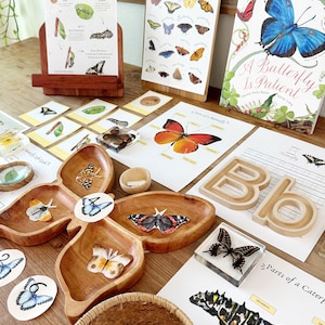 Material imprimible para el estudio de la unidad sobre mariposas, estudio de la naturaleza según Charlotte Mason, ciencias para la educación en el hogar.