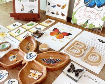 Butterfly Unit Study Printables, Charlotte Mason Nature Study, Homeschool Science