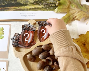 Oak Tree Homeschool Unit Study, Nature Morning Basket (PDF)
