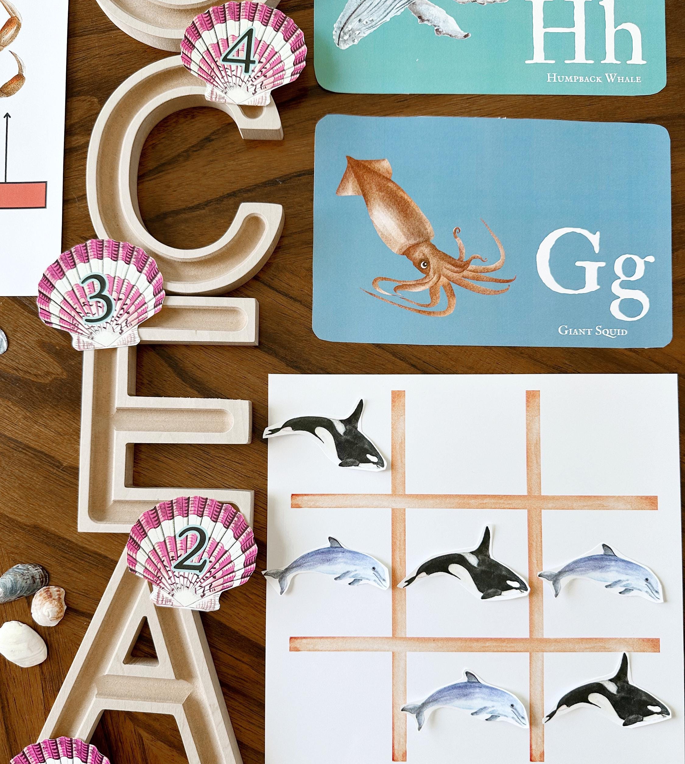 Ocean Unit Study Bundle, Marine Animals, Beach Study, Sea Life ...