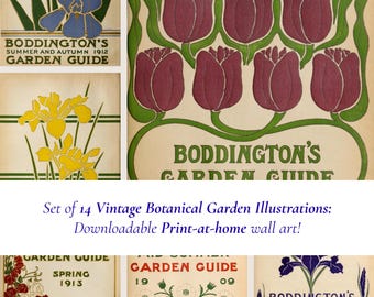 May include: A collection of 14 vintage botanical garden illustrations. The images showcase vibrant floral designs, such as irises, tulips, and strawberries, with text reading "BODDINGTON'S GARDEN GUIDE" and the years 1906, 1909, 1912, and 1913. Downloadable wall art.