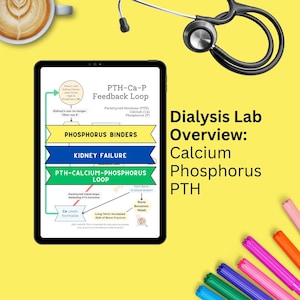 May include: A digital tablet shows a medical diagram of the PTH-Ca-P Feedback Loop, with text including "Dialysis Lab Overview: Calcium Phosphorus PTH." A stethoscope, coffee cup, and colourful markers are also visible on a yellow background.
