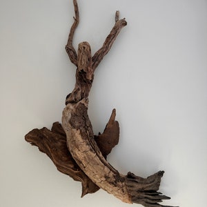 Mermaid Coastal Driftwood