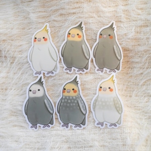 Cockatiel Vinyl Stickers, 6 Designs