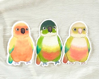 May include: Three colorful parrot stickers with a white background. The parrots are a peachy orange, a green and yellow, and a yellow and white.