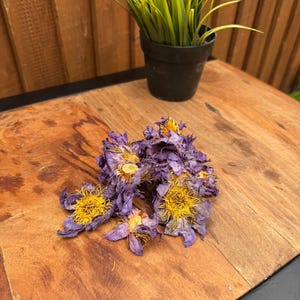 1000g Premium Organic Dried Blue Lotus Flowers | Blue Tea | Herbal Tea | Nymphaea caerulea | 100% Natural A++ Grade Flowers  | FREE DELIVERY