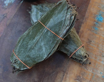 Può includere: Un mazzo di foglie verdi secche legate insieme da un elastico. Le foglie sono impilate l'una sull'altra e sono di colore naturale e terroso.