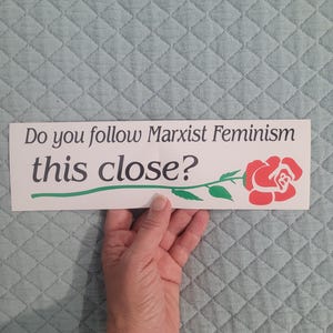 Do you follow Marxist Feminism so close