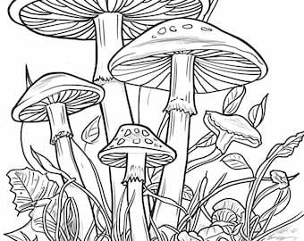 páginas para colorear de setas, color digital, png