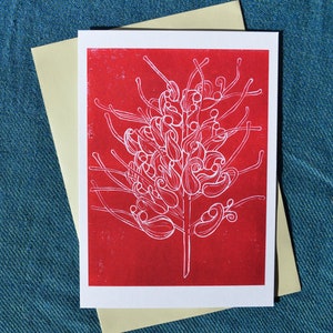 Cartão postal de Grevillea