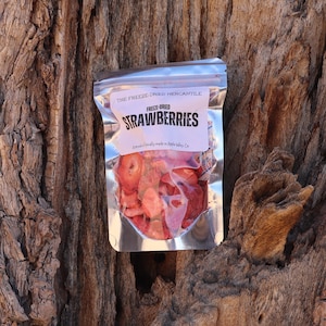Freeze-Dried Strawberries, Strawberries, 4” x 6” Bag, Healthy Fruit Snack - 0.5 oz