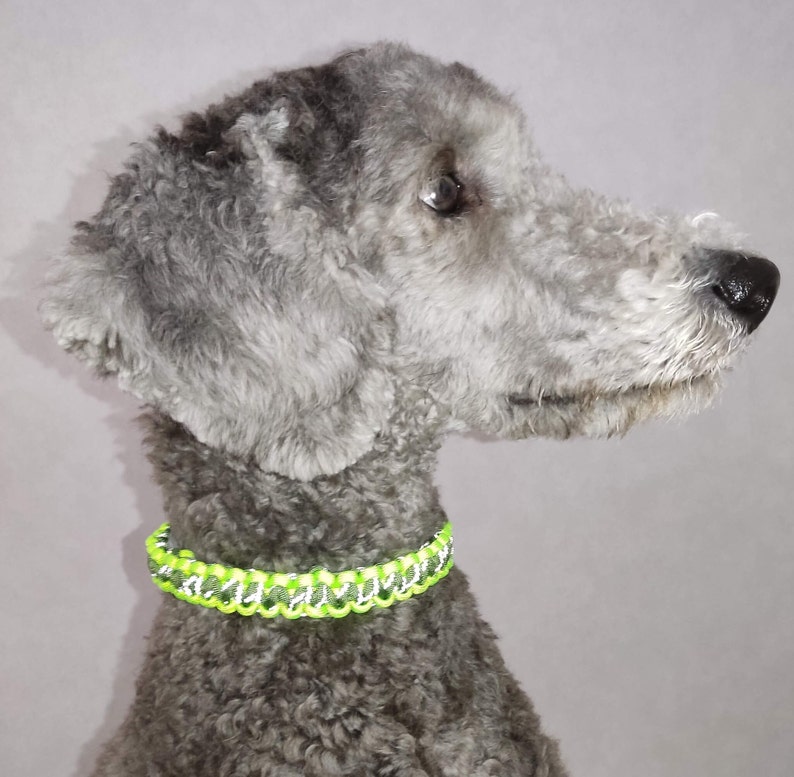 Handgefertigtes Zeckenband-Cover für Hunde: Maßgeschneidertes Paracord-Halsband mit individueller Farbauswahl und sicherem Klickverschluss Bild 4