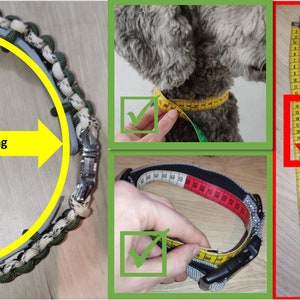 Handgefertigtes Zeckenband-Cover für Hunde: Maßgeschneidertes Paracord-Halsband mit individueller Farbauswahl und sicherem Klickverschluss Bild 2