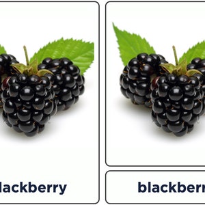 Cartes flash Montessori Fruits pour les tout-petits - 50 cartes d'apprentissage sur les fruits - Téléchargement numérique au format PDF - 23,3 Mo