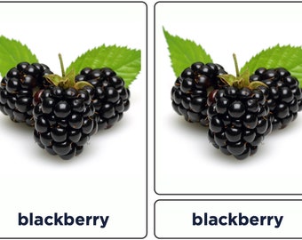 Montessori Fruits Flash Cards for Toddlers - 50 Fruit Learning Cards - Digital PDF Download - 23.3MB