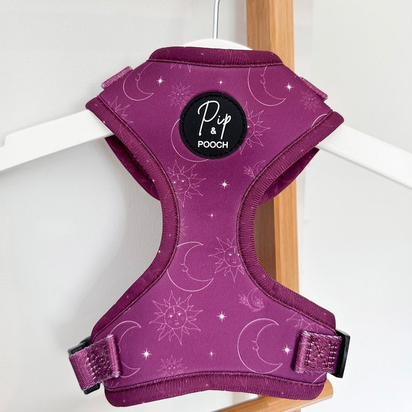 Adjustable Dog Harness - Purple Celestial