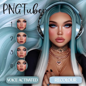 Femmina Vtuber PNGTuber / Modello Vtuber / twitch / risorse vtuber / Download digitale / Per streaming, YouTube e giochi / Modello femminile / PNG
