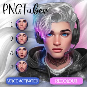 Vtuber masculino femenino PNGTuber / Modelo Vtuber / Twitch / Recursos Vtuber / Descarga digital / Para transmisión, modelo de género neutro / PNG