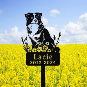 May include: Black metal silhouette of a border collie dog sitting in a field of yellow flowers. The dog is surrounded by small flowers and grass. A black metal sign with the name "Lacie" and the dates "2012-2024" is below the dog.
