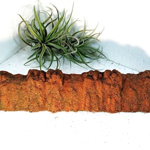 Peut inclure: Une formation rocheuse décorative rectangulaire et texturée, de couleur marron, avec une base verte et mousseuse. Une plante verte avec de longues feuilles fines est posée au-dessus de la formation rocheuse sur fond blanc. La formation rocheuse mesure environ 30 cm de long.