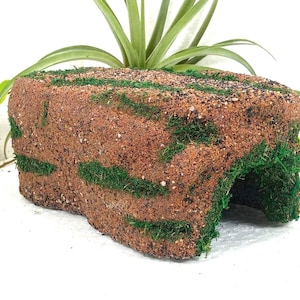 Op de afbeelding: Een rechthoekig bruin getextureerd blok met een holle boogvormige opening aan één kant, voorzien van vlekken felgroen mos op het oppervlak. Het object heeft een ruw, korrelig uiterlijk en is horizontaal geplaatst.