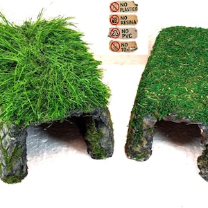 Può includere: Due rifugi per animali a forma di tunnel con pareti grigie testurizzate simili a pietra e cime ricoperte di muschio verde. Uno presenta lunghi fili d'erba realistici, l'altro un muschio denso. Le etichette riportano: NO PLÁSTICO, NO RESINA, NO PVC, NO TÓXICO.