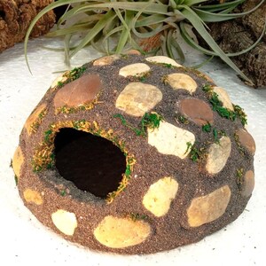Può includere: Un rifugio per rettili a forma di cupola con una base testurizzata marrone scuro incastonata con ciottoli di fiume lisci color beige chiaro e marrone. La struttura presenta un unico ingresso ad arco ed è decorata con muschio verde.