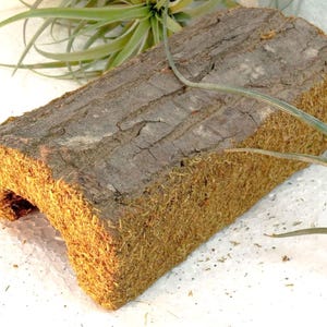 Peut inclure: Un morceau rectangulaire d'écorce d'arbre naturelle avec une surface supérieure rugueuse brun foncé et des côtés recouverts d'un matériau fibreux brun doré texturé. L'objet présente une face inférieure creuse et arquée avec une plante aérienne.