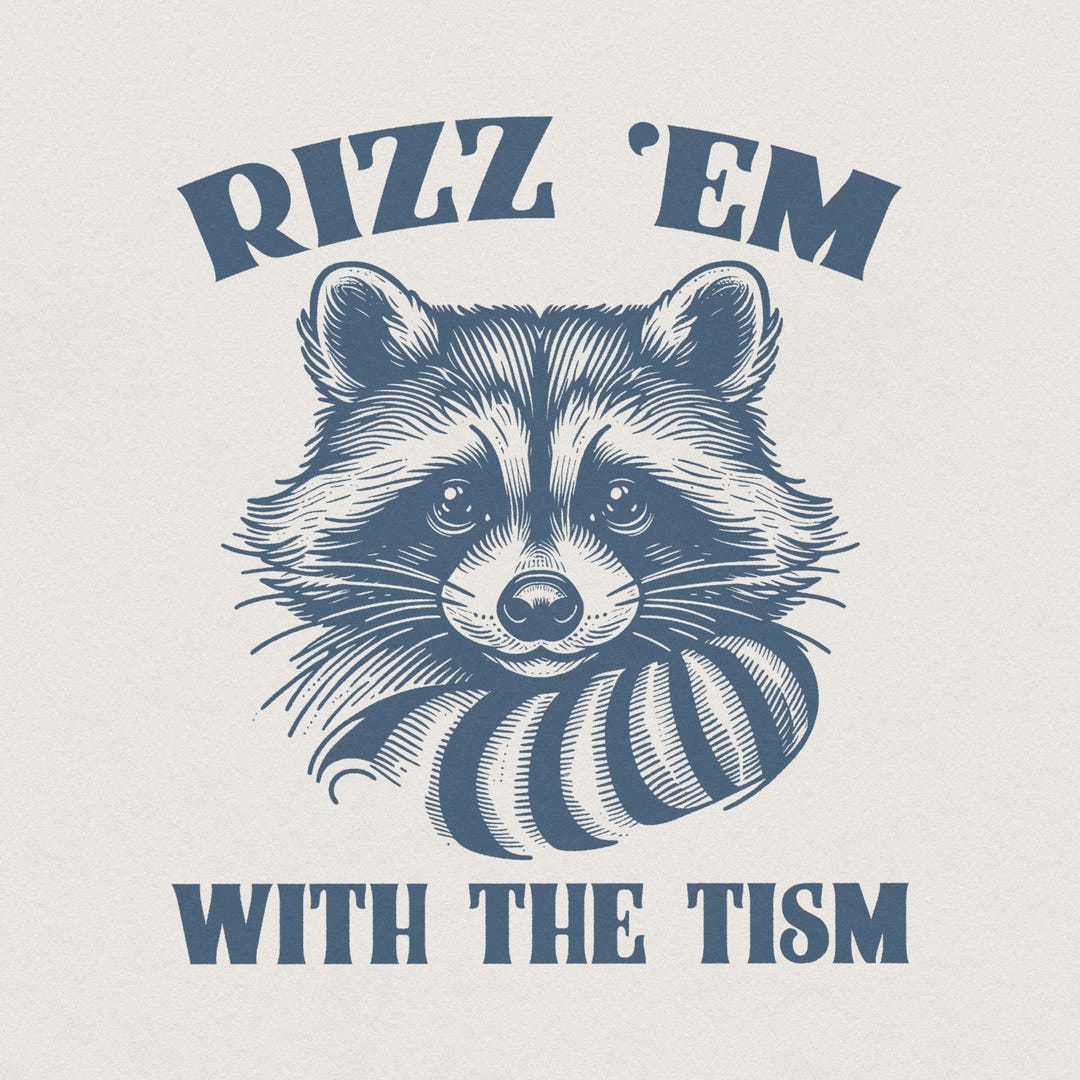 Rizz 'em With the 'tism Retro Raccoon PNG, Autism Awareness, Funny Meme ...