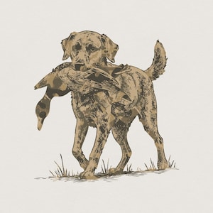 May include: A sepia-toned illustration of a Labrador Retriever dog carrying a duck in its mouth. The dog is walking forward, with the duck's head hanging down. The image has a vintage, outdoorsy feel, with subtle grass details.