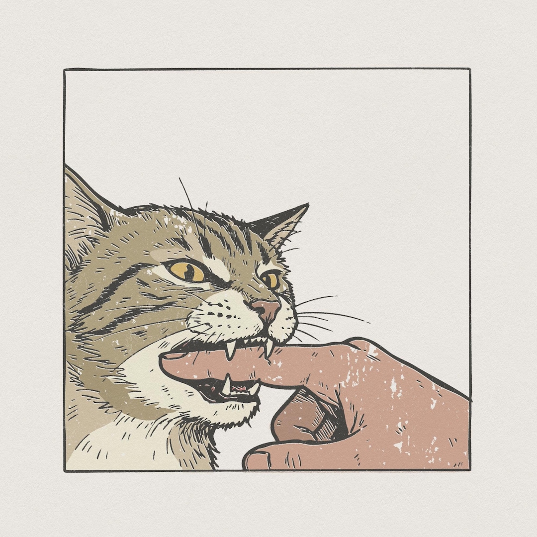 Cat Biting Finger PNG, Funny Cat Art Shirt, Digital Download, Cat Lover ...