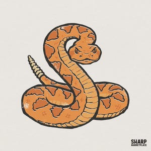 Puede incluir: Una ilustración gráfica de una serpiente de cascabel enroscada con escamas estampadas en naranja y marrón, cabeza triangular y un cascabel levantado en la cola. El diseño presenta contornos negros gruesos y un acabado texturizado, con el texto SHARP MARKETPLACE.