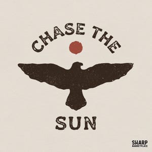 Chase The Sun PNG, Vintage Sun Bird Design, Inspirational Outdoor Digital Download, Adventure Nature Graphic, Printable Shirt File