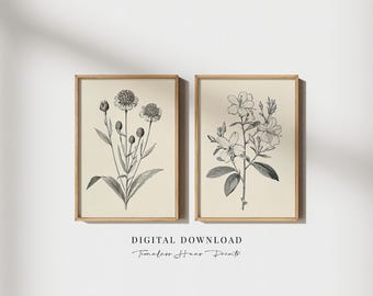 Vintage Botanical Etchings Set, Floral Gallery Wall Prints, Antique Floral Drawings, Farmhouse Wall Art, Nature Sketch, Digital Download Art