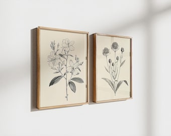 Vintage Flower Gallery Wall Art Set, Botanical Wall Art Sketches, Antique Floral Drawings, Floral Illustrations, Digital Download Art