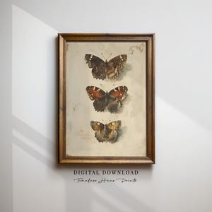 Butterfly Wall Art, Vintage Nature Illustration, Three Butterfly Species Print, Natural History Decor, Botanical Insect Art | Printable Art