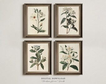 Vintage Botanical Gallery Wall Art Set | Antique Prints (digital ...