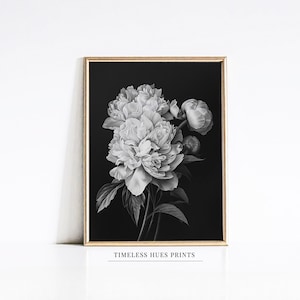 Vintage Peony Botanical Sketch Art | Black & White Floral Print | Vintage Botanical Wall Art | PRINTABLE Digital Download | Art 1-209