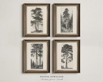 ENSEMBLE d'art mural galerie vintage imprimable | Gravures d'arbres antiques | gravures d'arbre vintage | Croquis d'arbre | Décoration de ferme | Art mural imprimable