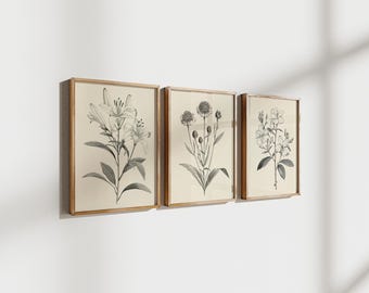 Vintage Flower Gallery Wall Art Set, Botanical Etchings Art, Wildflower Sketches, Floral Illustrations, Farmhouse Art, Digital Download Art