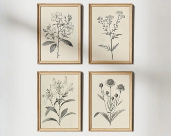 Stampe di schizzi botanici, arte di gigli e fiori selvatici, set di 4 (download digitale)