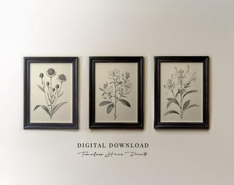 Vintage Lily Flower Sketch Print Set, Botanical Gallery Wall Art (Digital Download)